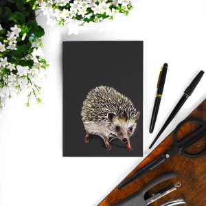 The Hedgehog Notebook