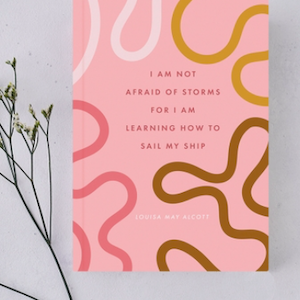 I Am Not Afraid of Storms Journal